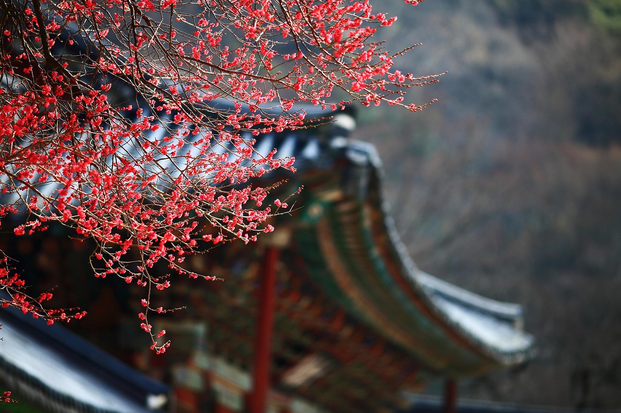 한국 대중가요 속 영어 사용 트렌드