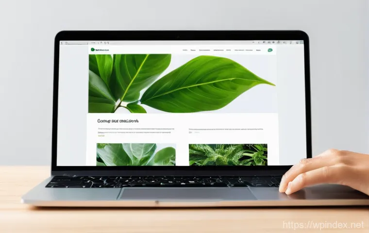 워드프레스 이미지 지연 로딩 임계값 최적화 - **Image Prompt 1: The Frustration and Triumph of WordPress Speed Optimization**
    A young adult, w...
