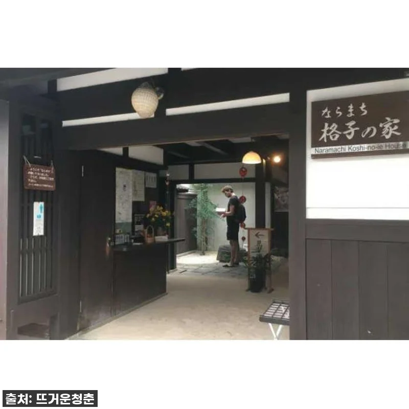 나라 반나절 워킹 투어 찐후기: 유네스코 세계유산 완전 정복, 사슴 친구들까지! 놓치면 후회할 인생 여행 코스! 7 나라 반나절 워킹 투어 찐후기: 유네 관련 이미지 1