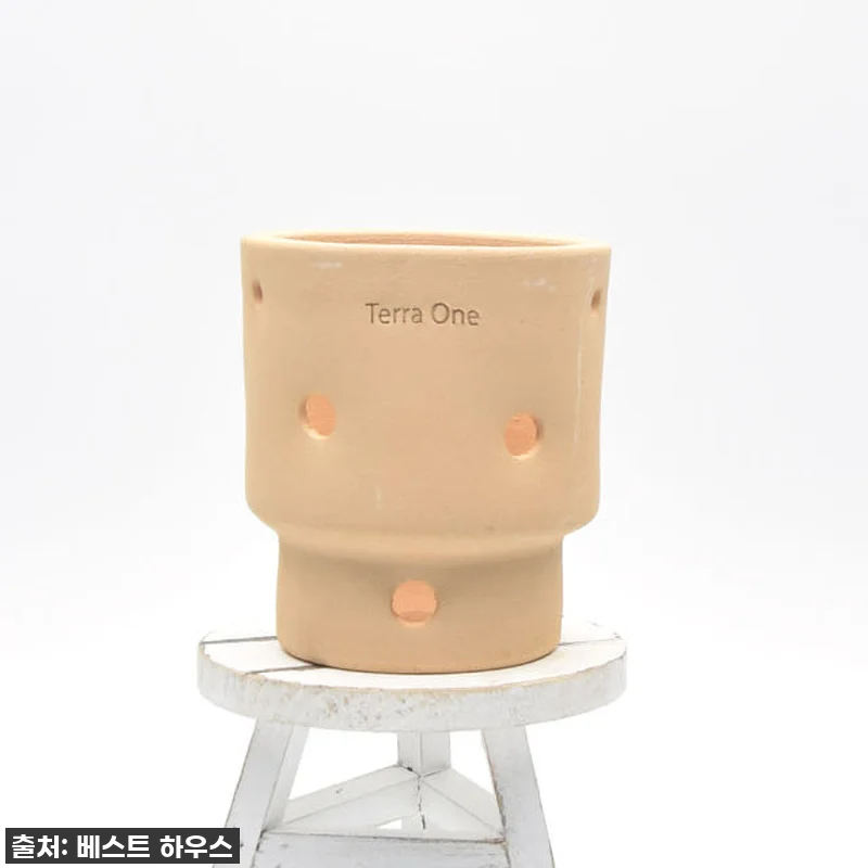 이 가격 실화?! 찐 플랜테리어 필수템! 테라원 행잉 내열토 타공 수제 토분, 엣지실린더 직접 써보니... 이건 무조건 쟁여야 해! 12 이 가격 실화?! 찐 플랜테리어 필수 관련 이미지 1