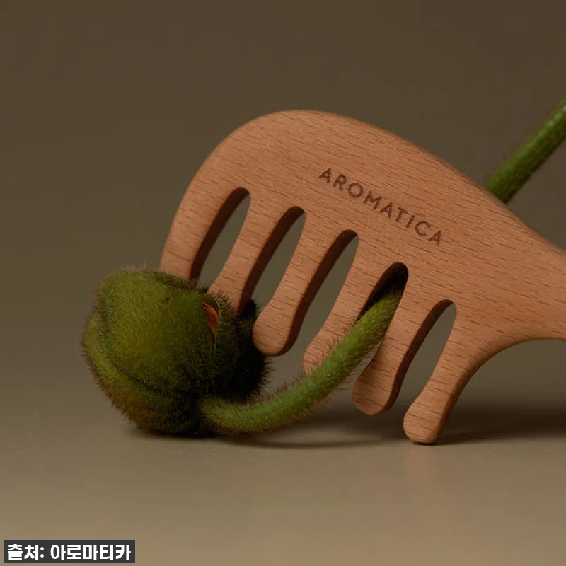 극심한 두피 스트레스? 아로마티카 우든 두피 괄사 찐후기! 25% 할인 놓치면 후회해요! 8 극심한 두피 스트레스? 아로마티카 우 관련 이미지 1