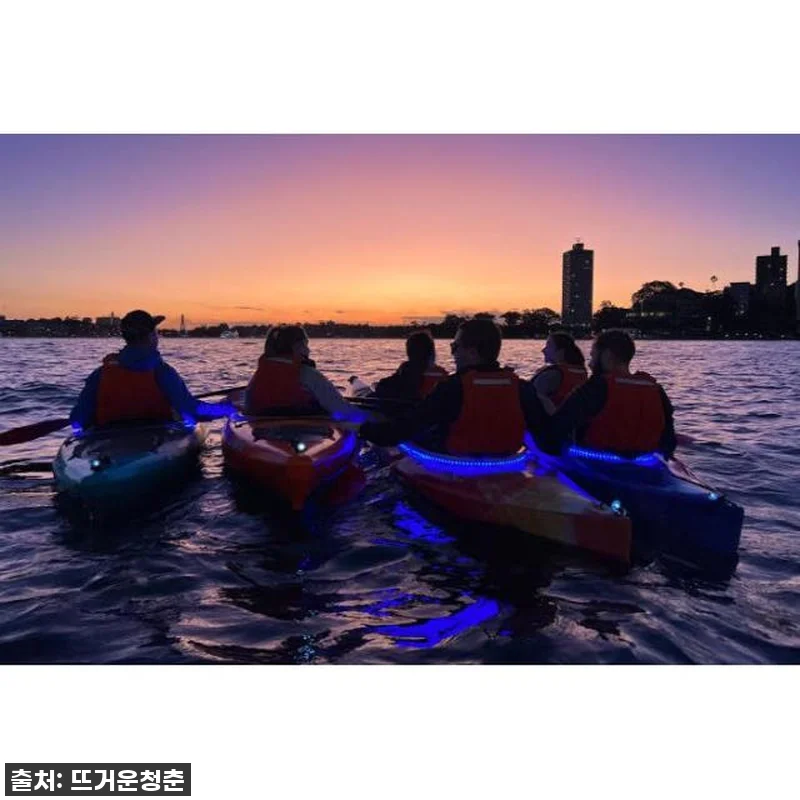 시드니 석양 패들보드, 이건 무조건이 관련 이미지 2
