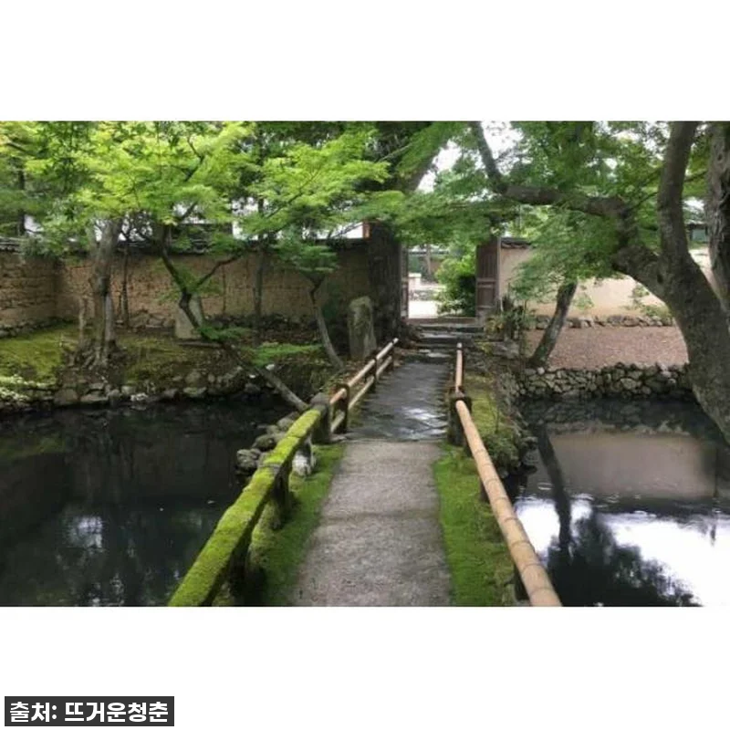 나라 반나절 워킹 투어 찐후기: 유네스코 세계유산 완전 정복, 사슴 친구들까지! 놓치면 후회할 인생 여행 코스! 8 나라 반나절 워킹 투어 찐후기: 유네 관련 이미지 2