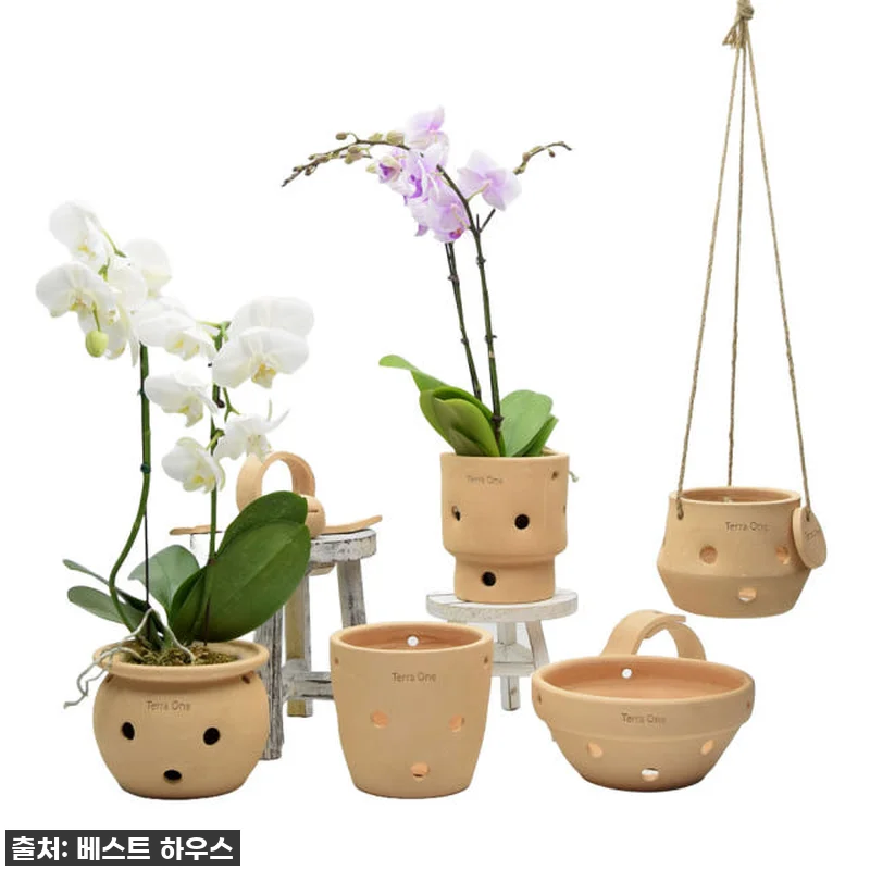 이 가격 실화?! 찐 플랜테리어 필수템! 테라원 행잉 내열토 타공 수제 토분, 엣지실린더 직접 써보니... 이건 무조건 쟁여야 해! 13 이 가격 실화?! 찐 플랜테리어 필수 관련 이미지 2