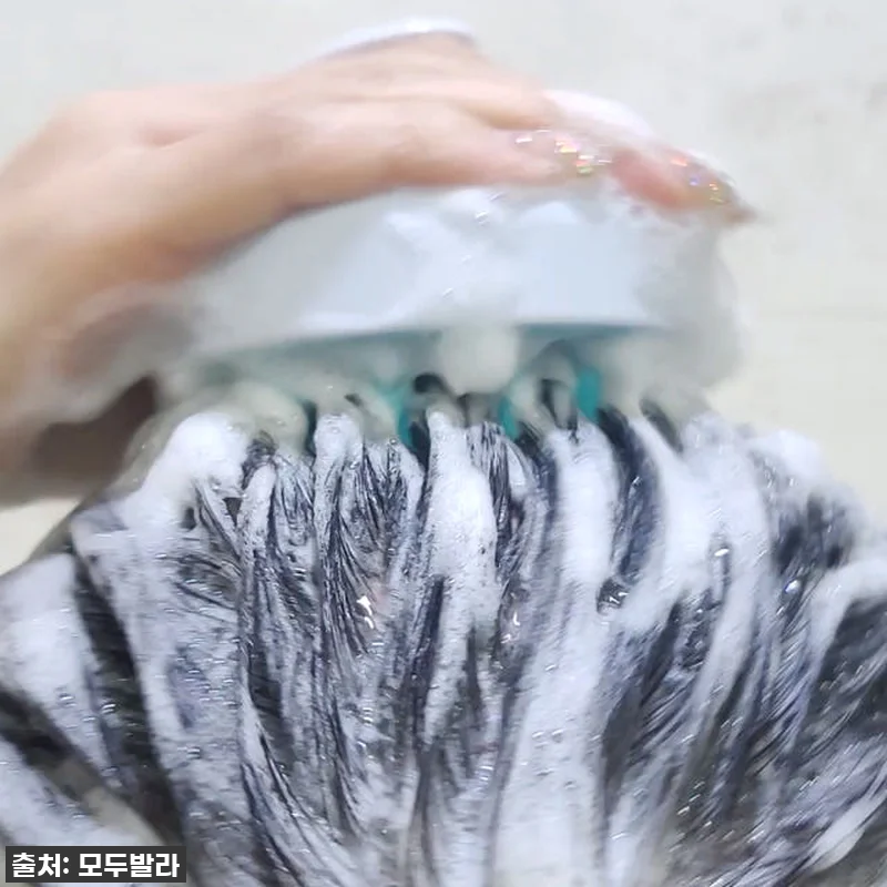 이슈템 등극! 모두발라 스칼프 샴푸브 관련 이미지 4