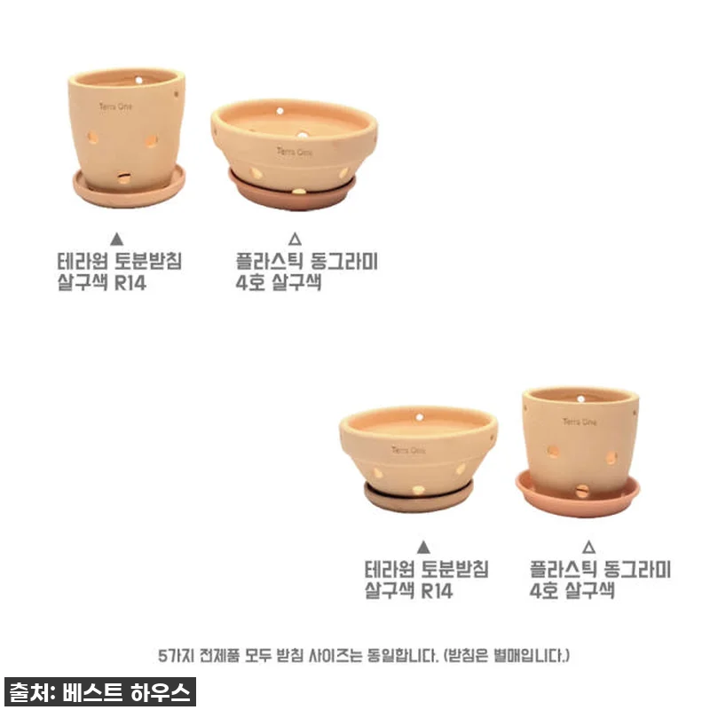 이 가격 실화?! 찐 플랜테리어 필수템! 테라원 행잉 내열토 타공 수제 토분, 엣지실린더 직접 써보니... 이건 무조건 쟁여야 해! 19 이 가격 실화?! 찐 플랜테리어 필수 관련 이미지 8
