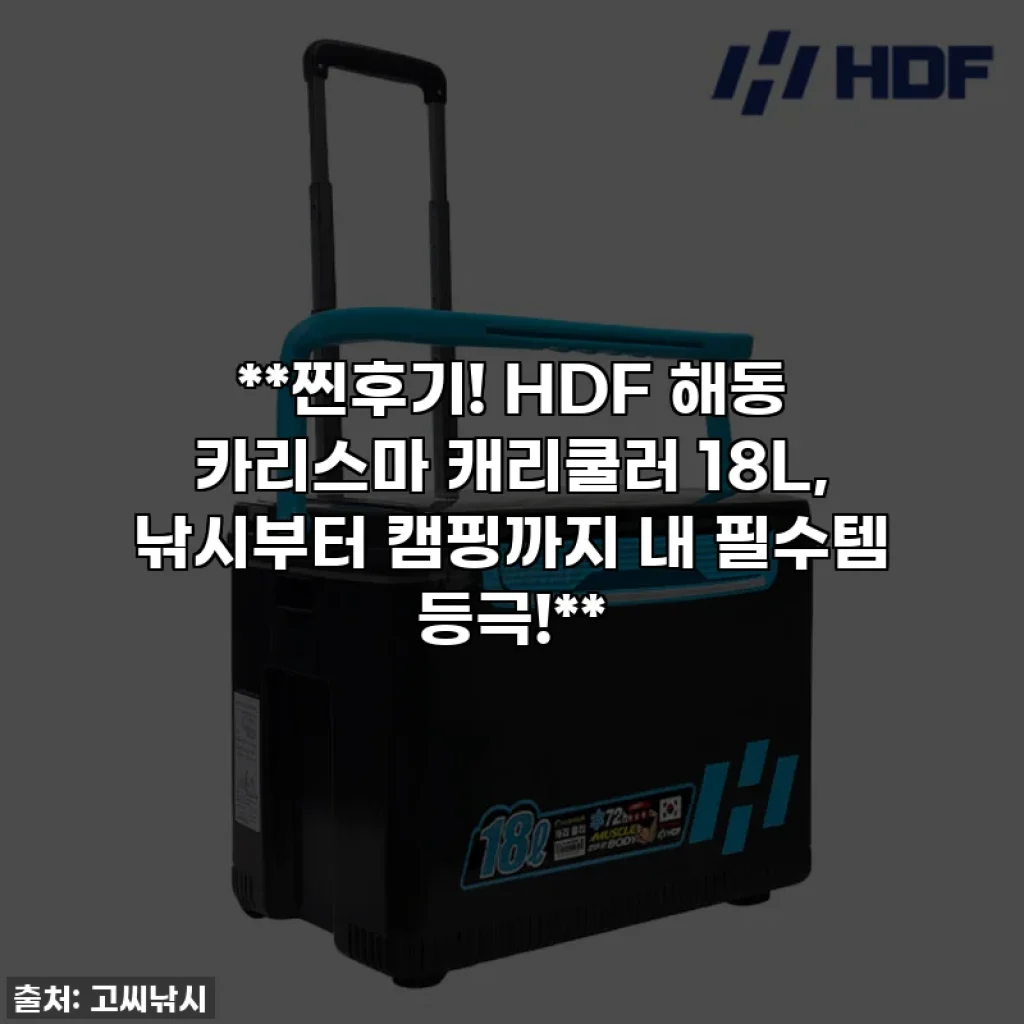 **찐후기! HDF 해동 카리스마 캐리쿨러 18L, 낚시부터 캠핑까지 내 필수템 등극!**