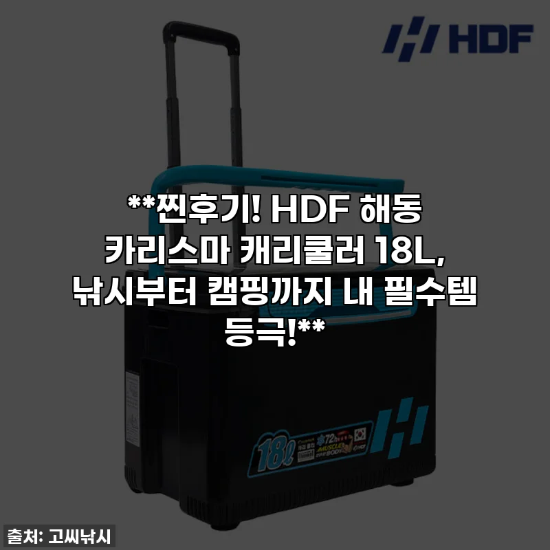 **찐후기! HDF 해동 카리스마 캐리쿨러 18L, 낚시부터 캠핑까지 내 필수템 등극!**
