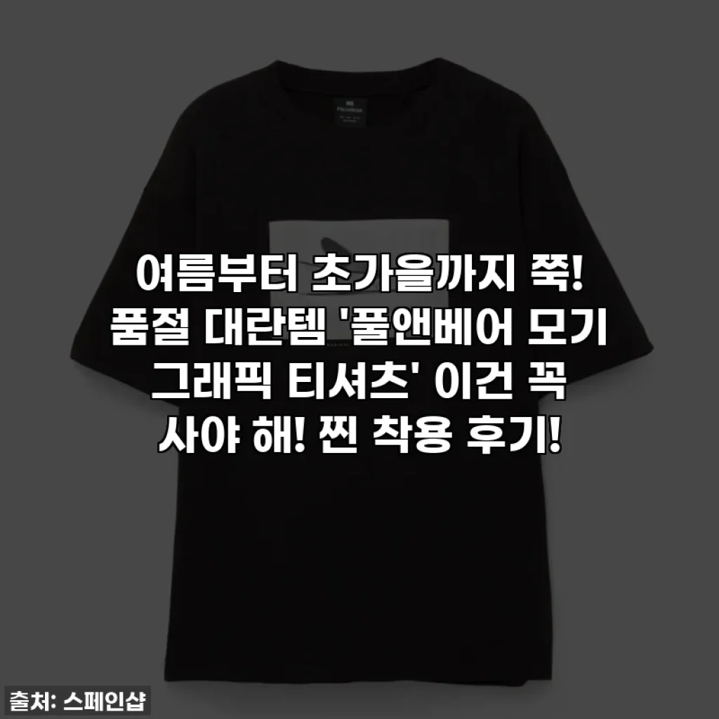 여름부터 초가을까지 쭉! 품절 대란템 '풀앤베어 모기 그래픽 티셔츠' 이건 꼭 사야 해! 찐 착용 후기!