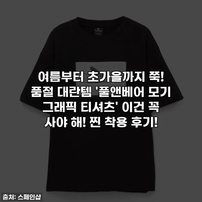 여름부터 초가을까지 쭉! 품절 대란템 '풀앤베어 모기 그래픽 티셔츠' 이건 꼭 사야 해! 찐 착용 후기!