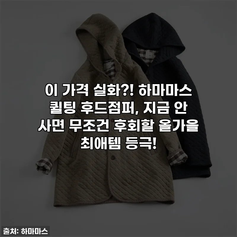 이 가격 실화?! 하마마스 퀼팅 후드점퍼, 지금 안 사면 무조건 후회할 올가을 최애템 등극!