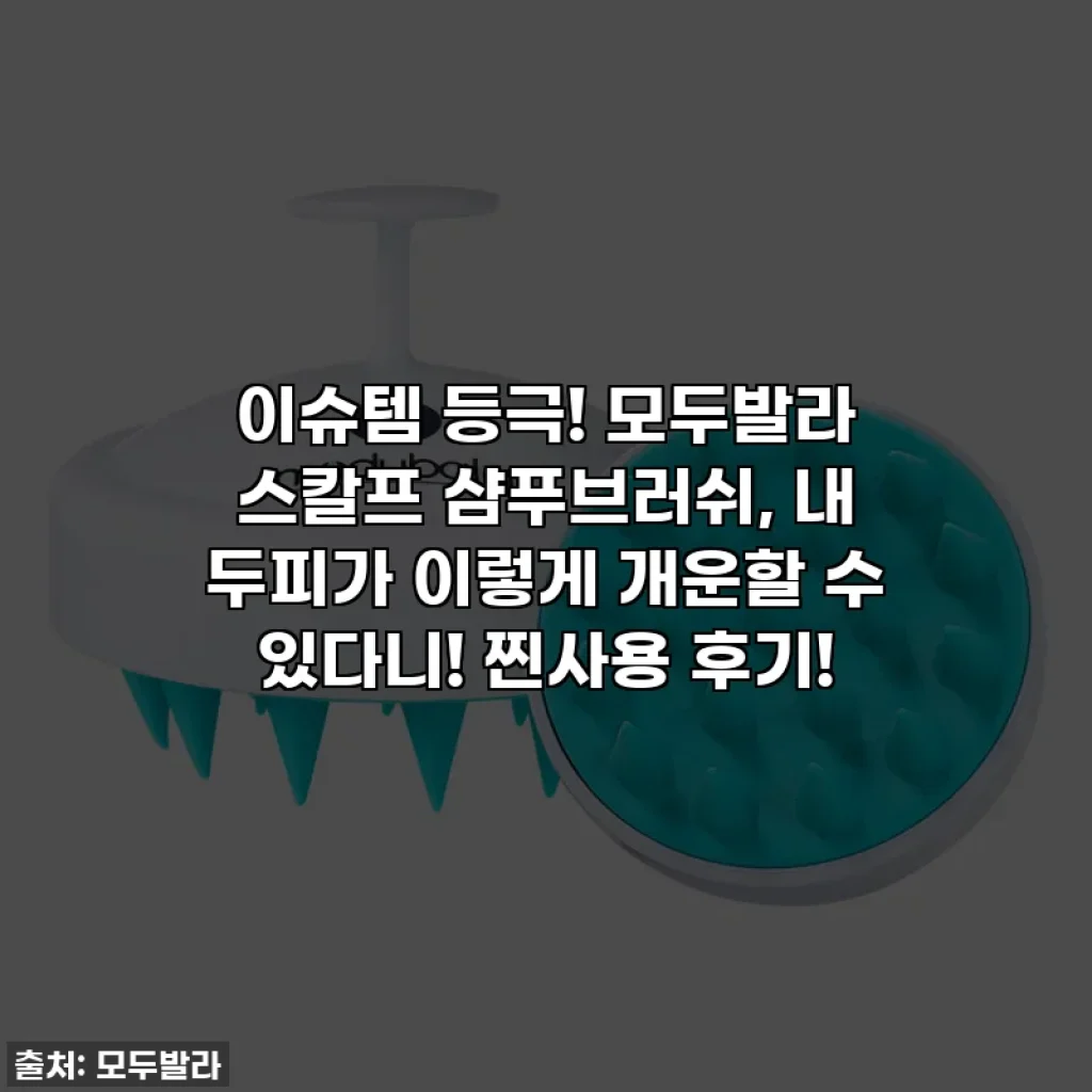 이슈템 등극! 모두발라 스칼프 샴푸브러쉬, 내 두피가 이렇게 개운할 수 있다니! 찐사용 후기!