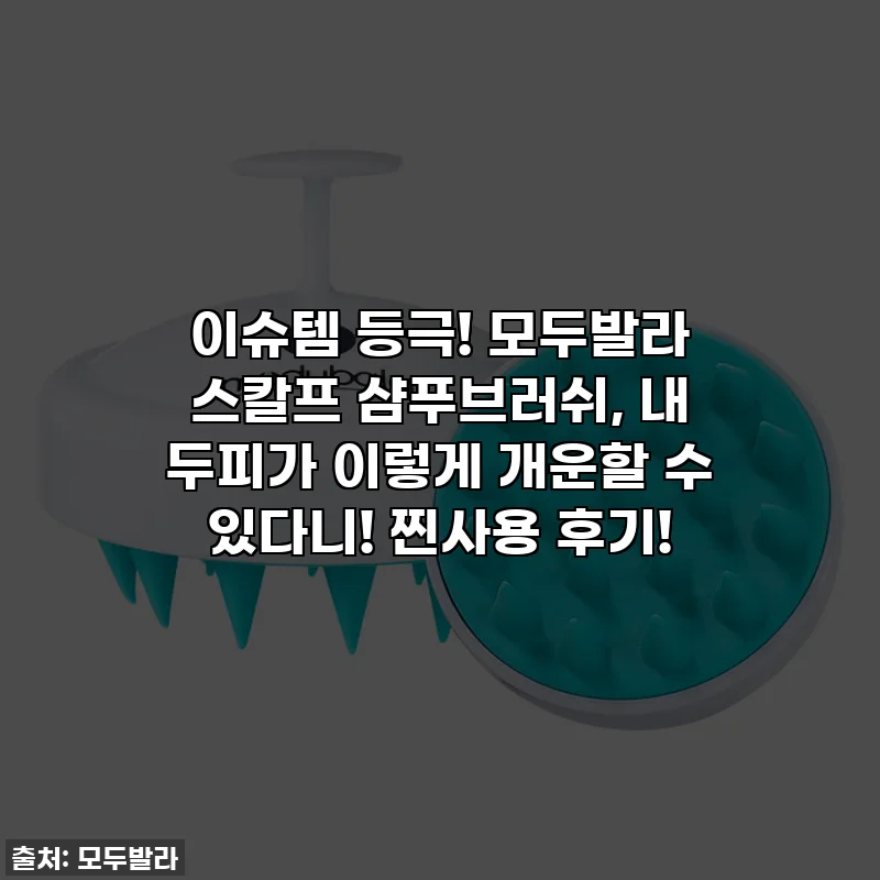 이슈템 등극! 모두발라 스칼프 샴푸브러쉬, 내 두피가 이렇게 개운할 수 있다니! 찐사용 후기!
