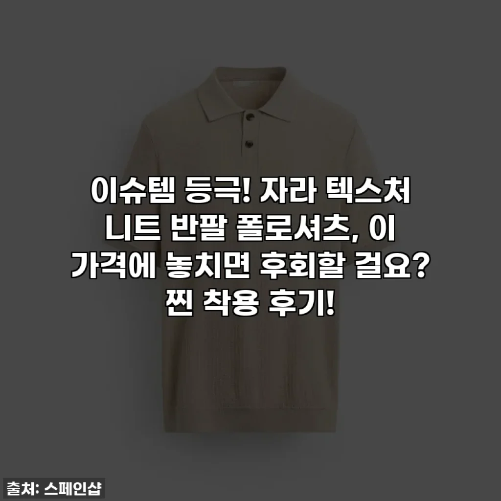 이슈템 등극! 자라 텍스처 니트 반팔 폴로셔츠, 이 가격에 놓치면 후회할 걸요? 찐 착용 후기!