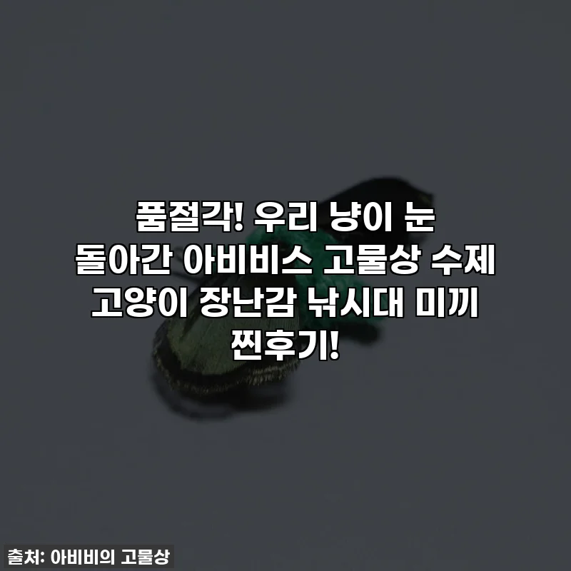 품절각! 우리 냥이 눈 돌아간 아비비스 고물상 수제 고양이 장난감 낚시대 미끼 찐후기!