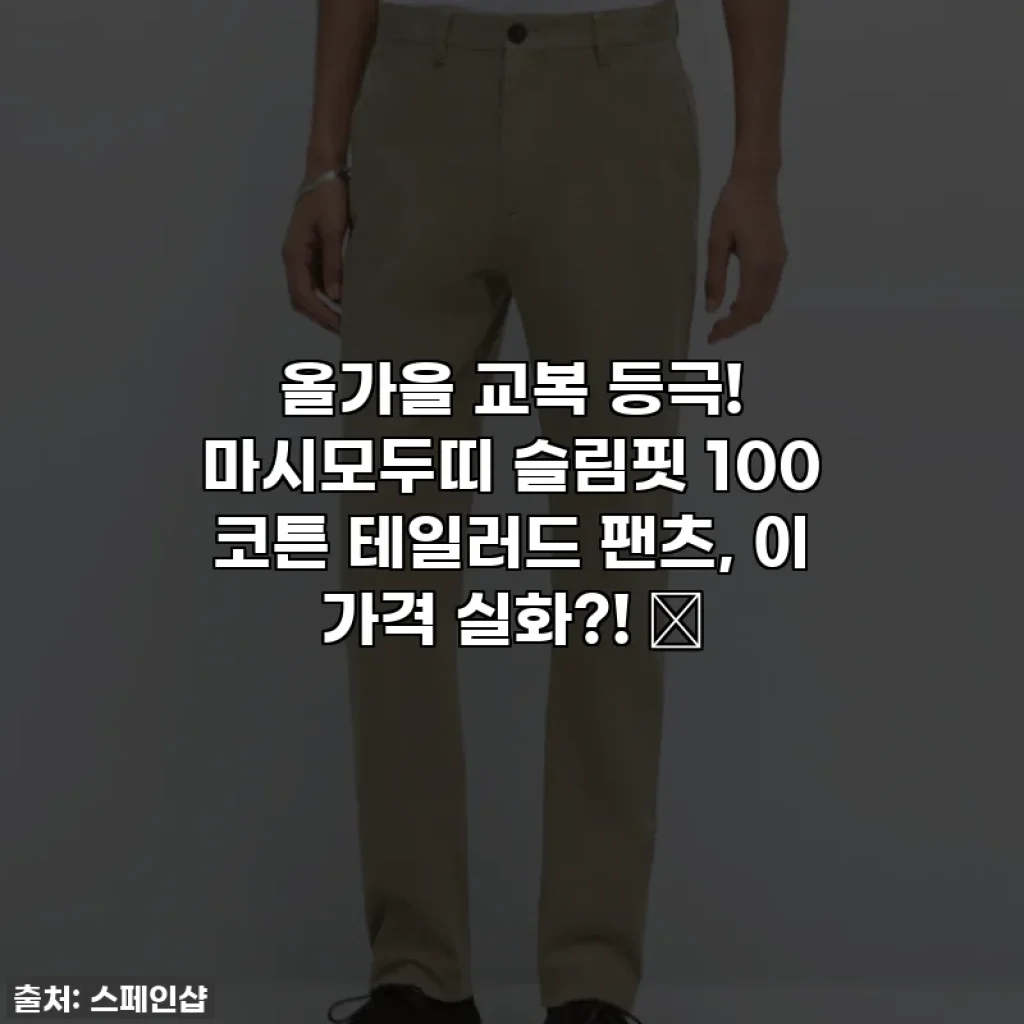 올가을 교복 등극! 마시모두띠 슬림핏 100 코튼 테일러드 팬츠, 이 가격 실화?! 🍂