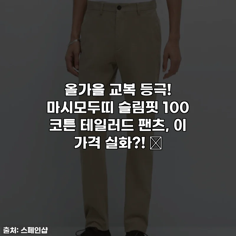 올가을 교복 등극! 마시모두띠 슬림핏 100 코튼 테일러드 팬츠, 이 가격 실화?! 🍂
