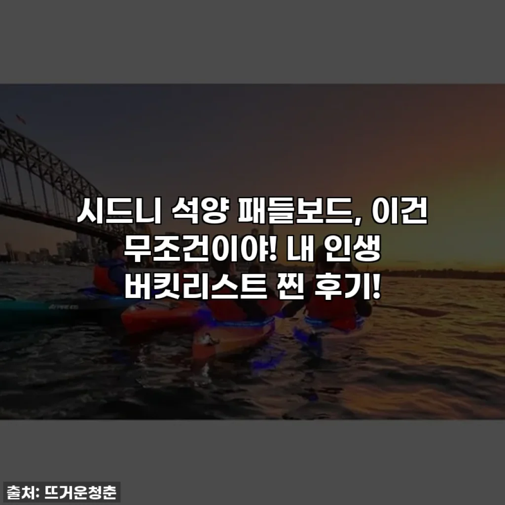 시드니 석양 패들보드, 이건 무조건이야! 내 인생 버킷리스트 찐 후기!