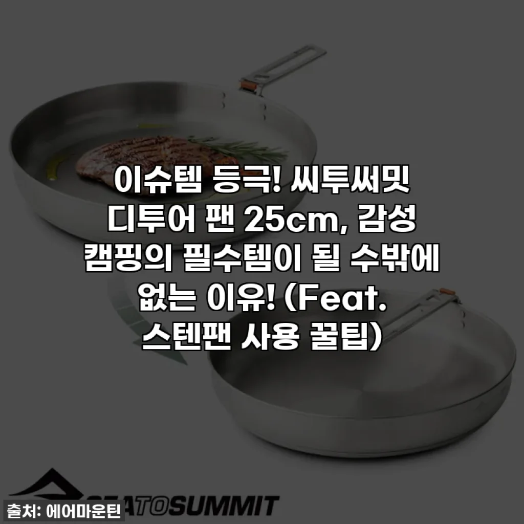 이슈템 등극! 씨투써밋 디투어 팬 25cm, 감성 캠핑의 필수템이 될 수밖에 없는 이유! (Feat. 스텐팬 사용 꿀팁)