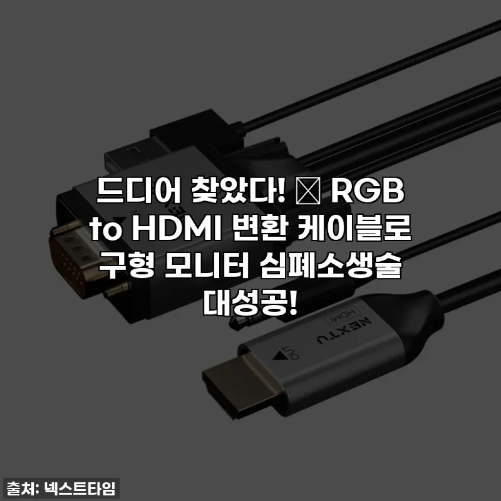 드디어 찾았다! ✨ RGB to HDMI 변환 케이블로 구형 모니터 심폐소생술 대성공!