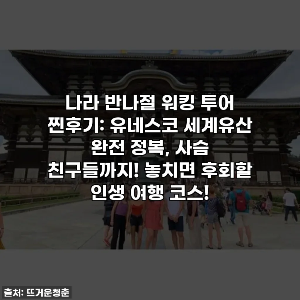나라 반나절 워킹 투어 찐후기: 유네스코 세계유산 완전 정복, 사슴 친구들까지! 놓치면 후회할 인생 여행 코스!
