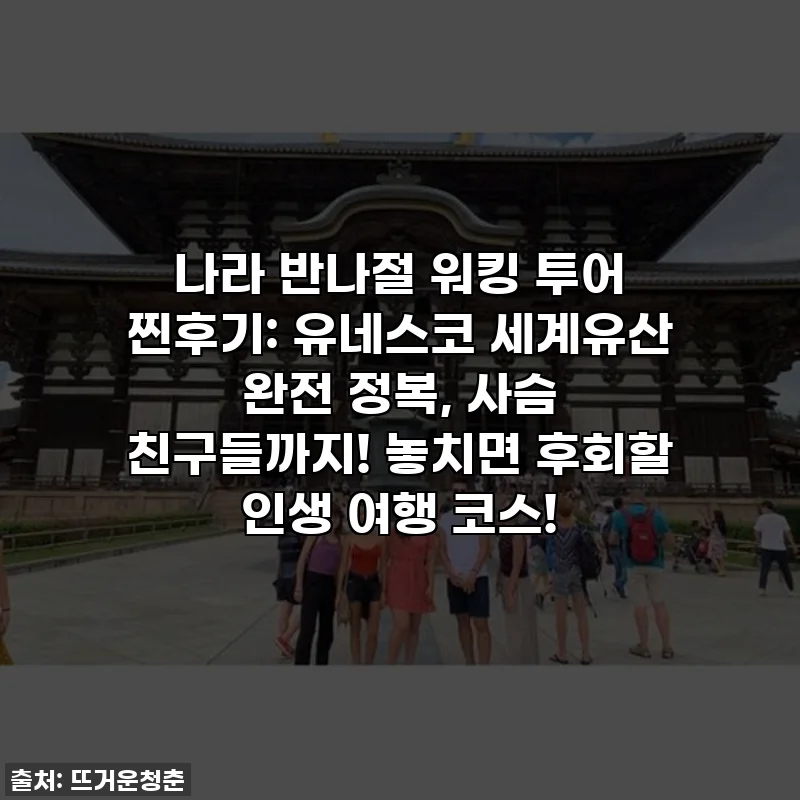 나라 반나절 워킹 투어 찐후기: 유네스코 세계유산 완전 정복, 사슴 친구들까지! 놓치면 후회할 인생 여행 코스!