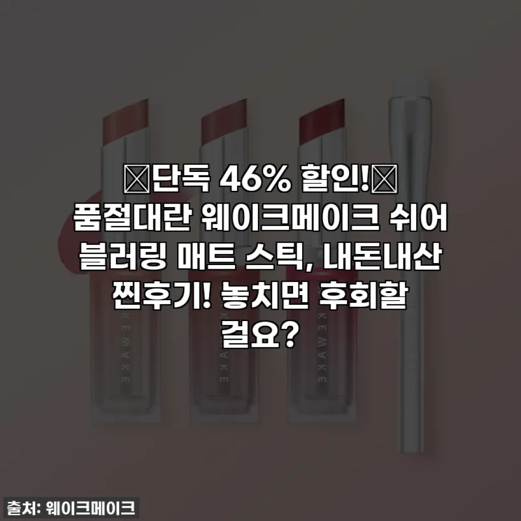 🔥단독 46% 할인!🔥 품절대란 웨이크메이크 쉬어 블러링 매트 스틱, 내돈내산 찐후기! 놓치면 후회할 걸요?