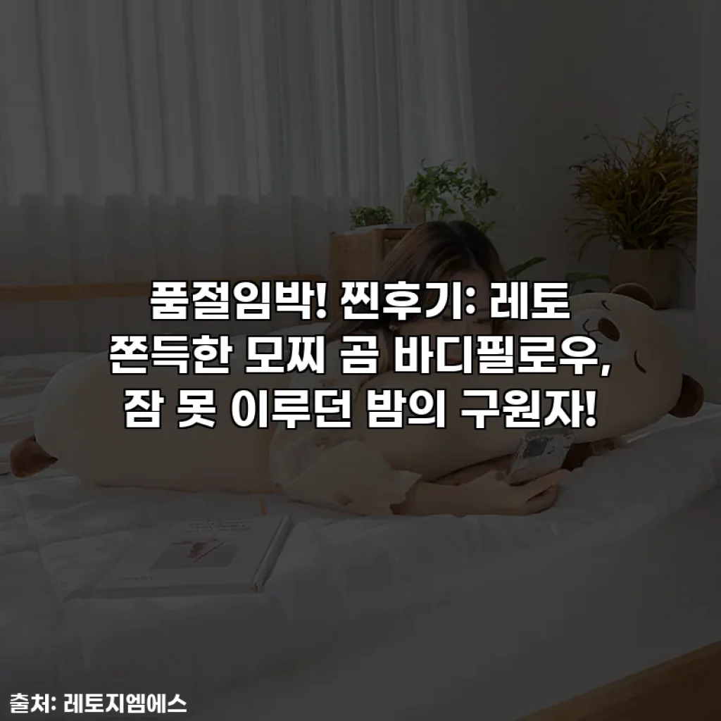 품절임박! 찐후기: 레토 쫀득한 모찌 곰 바디필로우, 잠 못 이루던 밤의 구원자!