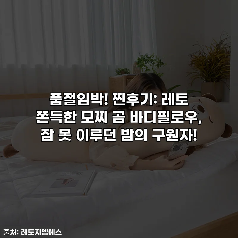 품절임박! 찐후기: 레토 쫀득한 모찌 곰 바디필로우, 잠 못 이루던 밤의 구원자!