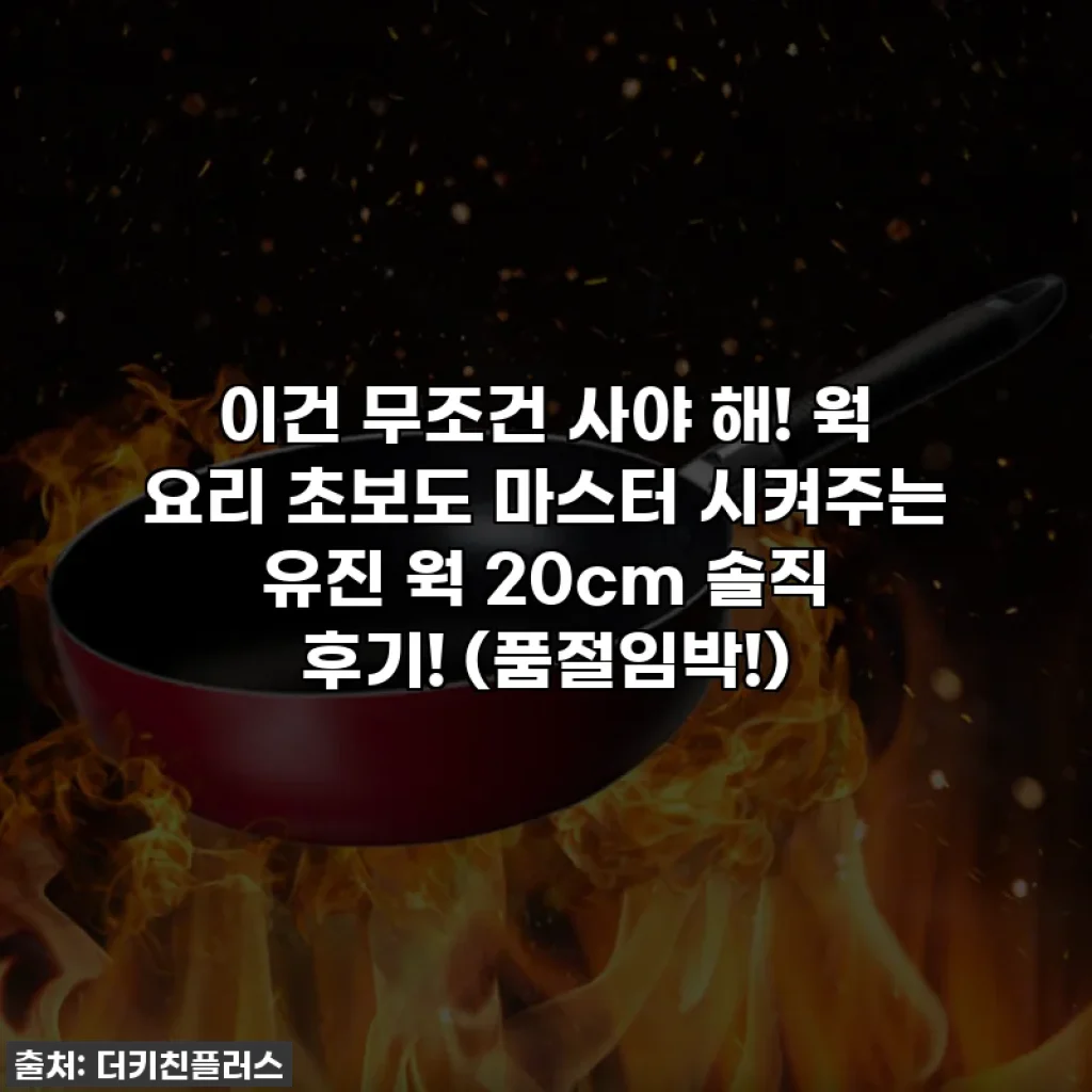 이건 무조건 사야 해! 웍 요리 초보도 마스터 시켜주는 유진 웍 20cm 솔직 후기! (품절임박!)