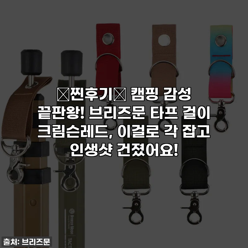 ✨찐후기✨ 캠핑 감성 끝판왕! 브리즈문 타프 걸이 크림슨레드, 이걸로 각 잡고 인생샷 건졌어요!