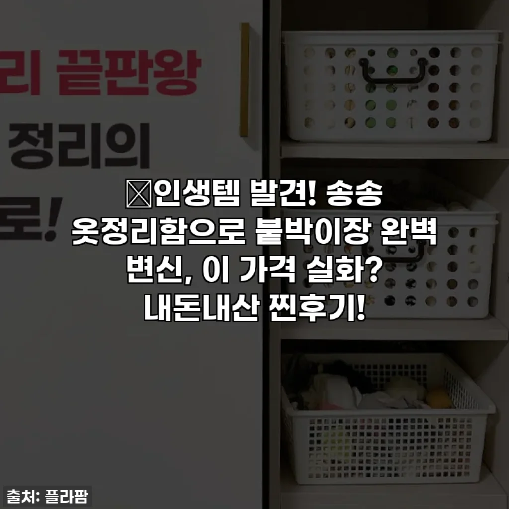 💥인생템 발견! 송송 옷정리함으로 붙박이장 완벽 변신, 이 가격 실화? 내돈내산 찐후기!