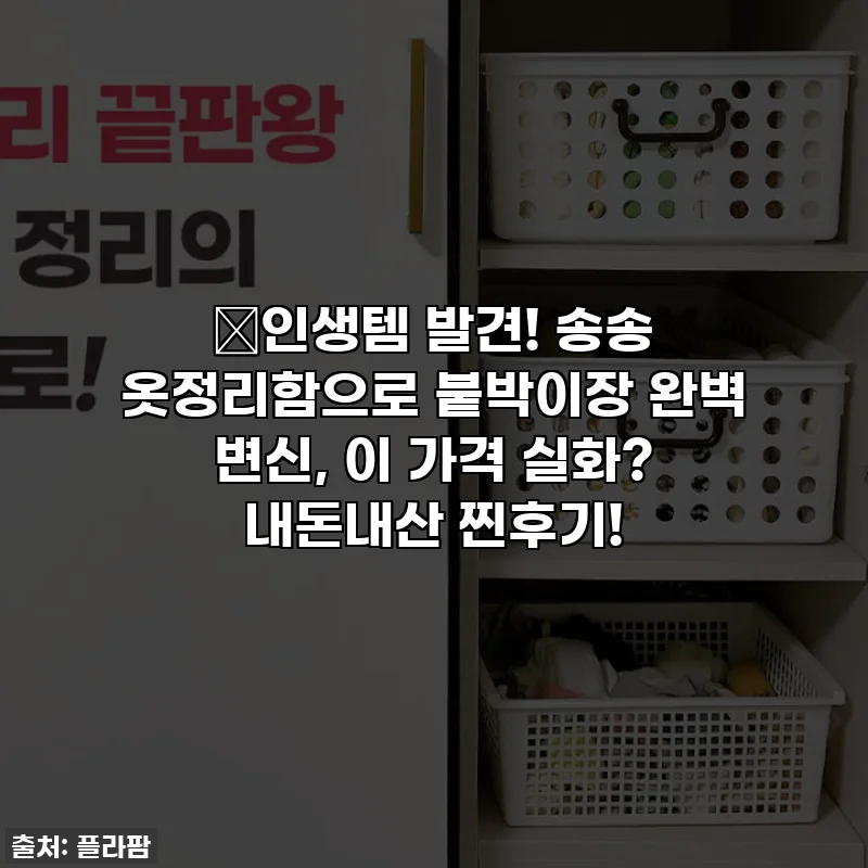 💥인생템 발견! 송송 옷정리함으로 붙박이장 완벽 변신, 이 가격 실화? 내돈내산 찐후기!