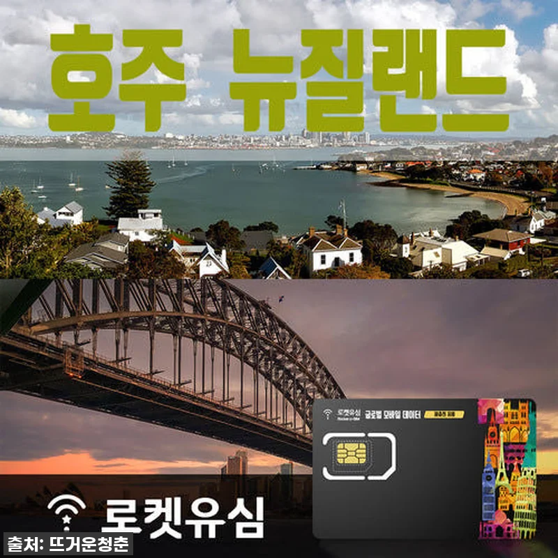 호주 뉴질랜드 여행 필수템! 매일 5 관련 이미지 1