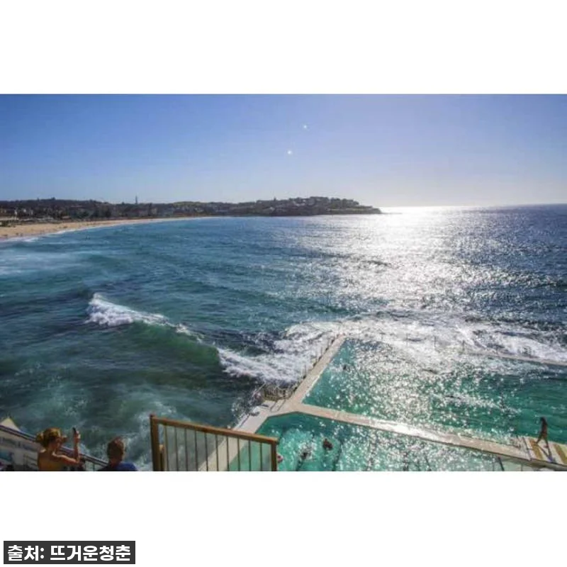 이슈템! 💖 시드니 스타일 가이드 프라이빗 투어, 이거 안 하면 후회할 걸요? (찐후기) 7 이슈템! 💖 시드니 스타일 가이드 프 관련 이미지 1