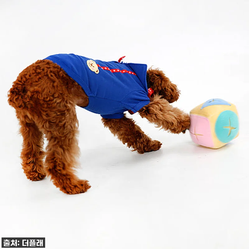 강아지 노즈워크볼, 더플래 킁킁볼! 층간소음 걱정 없는 우리 멍뭉이 최애템 (할인 놓치지 마세요!) 5 강아지 노즈워크볼, 더플래 킁킁볼! 관련 이미지 1