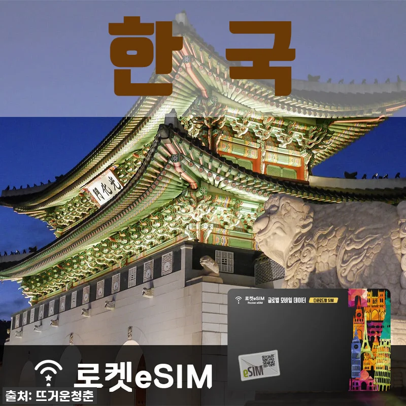 이슈템 떴다! 국내여행 필수템, 로켓eSIM 한국 14일 플랜 직접 써보니? #꿀팁대방출 4 이슈템 떴다! 국내여행 필수템, 로켓 관련 이미지 1