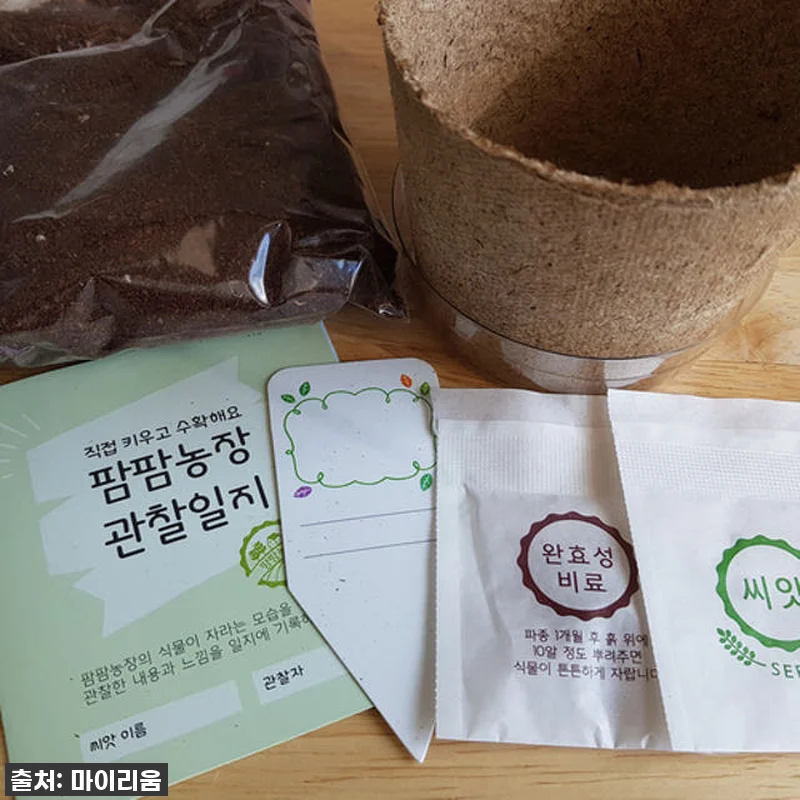 [찐후기] 우리 아이 첫 홈가드닝 대 관련 이미지 1