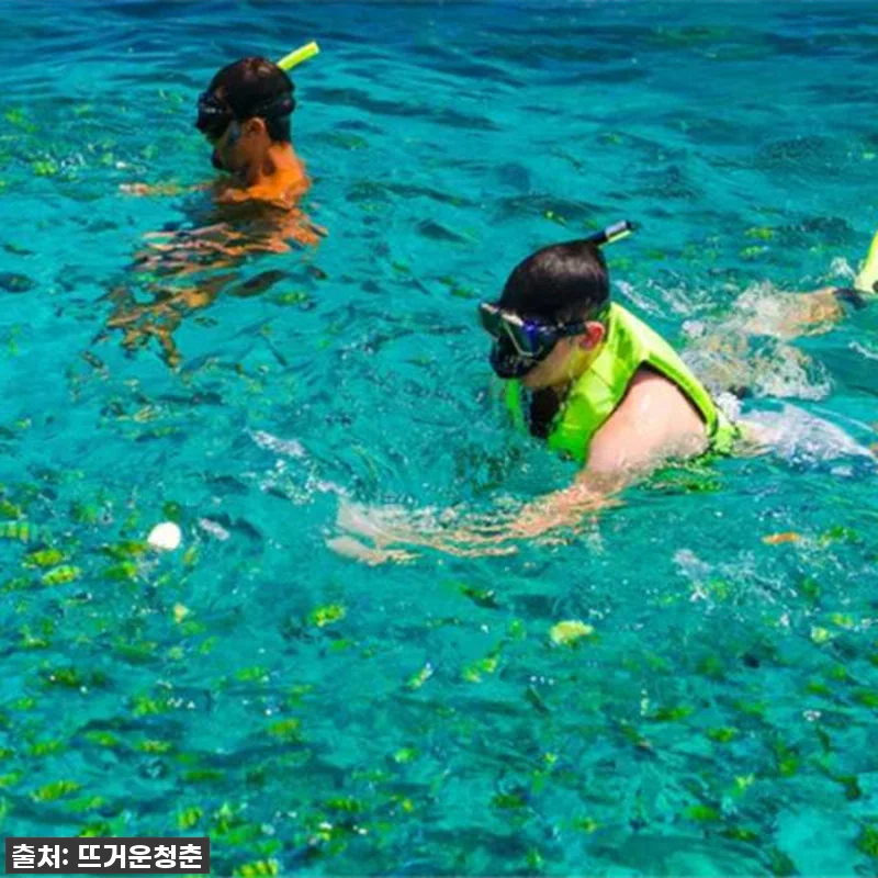 푸켓 여행 필수 코스! 피피 레, 피 관련 이미지 2