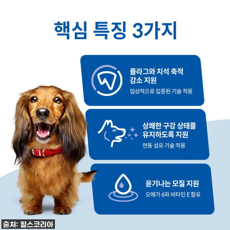 **찐후기! 우리 초롱이 입냄새 싹 사라진 비법? 힐스 강아지사료 어덜트 오랄케어 1.8kg x 2개 필수 구매각!** 10 **찐후기! 우리 초롱이 입냄새 싹 관련 이미지 2