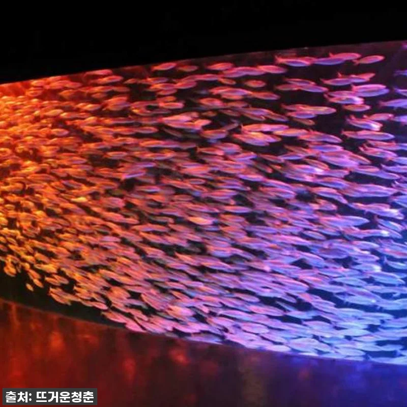 찐후기! 품절임박! 일본 홋카이도 노 관련 이미지 2