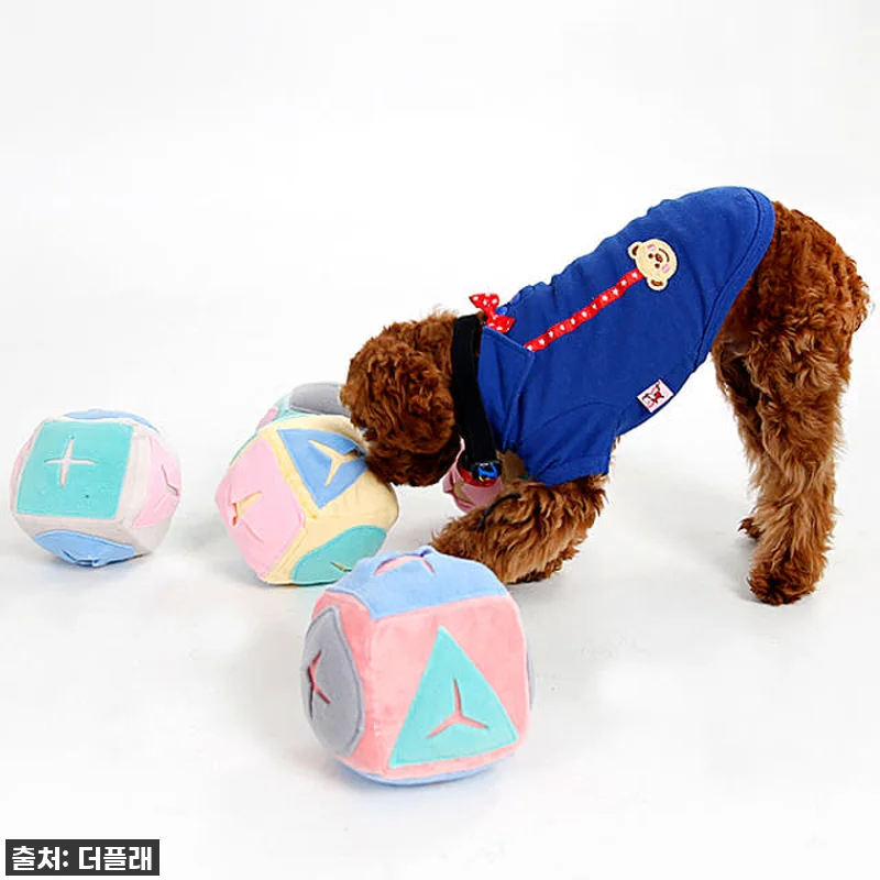 강아지 노즈워크볼, 더플래 킁킁볼! 층간소음 걱정 없는 우리 멍뭉이 최애템 (할인 놓치지 마세요!) 6 강아지 노즈워크볼, 더플래 킁킁볼! 관련 이미지 2