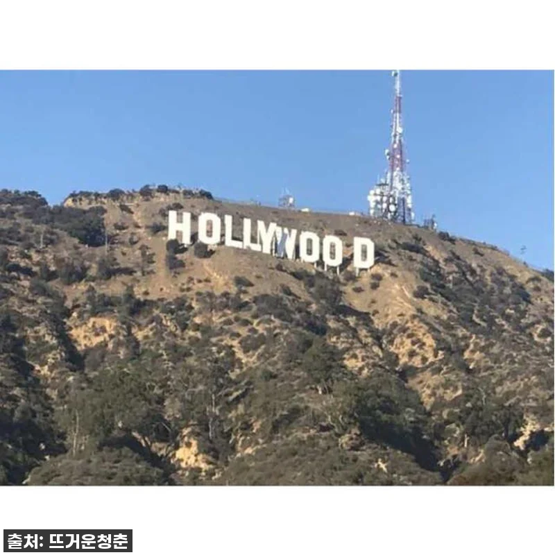 헐리우드 스타들의 발자취 따라 걷기! LA 할리우드 & 비벌리힐스 오후 시티 투어 찐후기 8 헐리우드 스타들의 발자취 따라 걷기! 관련 이미지 2