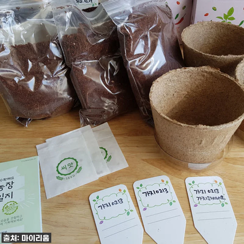 [찐후기] 우리 아이 첫 홈가드닝 대 관련 이미지 2