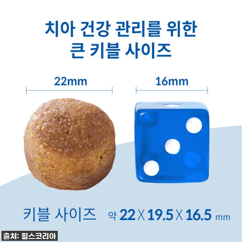 **찐후기! 우리 초롱이 입냄새 싹 사라진 비법? 힐스 강아지사료 어덜트 오랄케어 1.8kg x 2개 필수 구매각!** 11 **찐후기! 우리 초롱이 입냄새 싹 관련 이미지 3