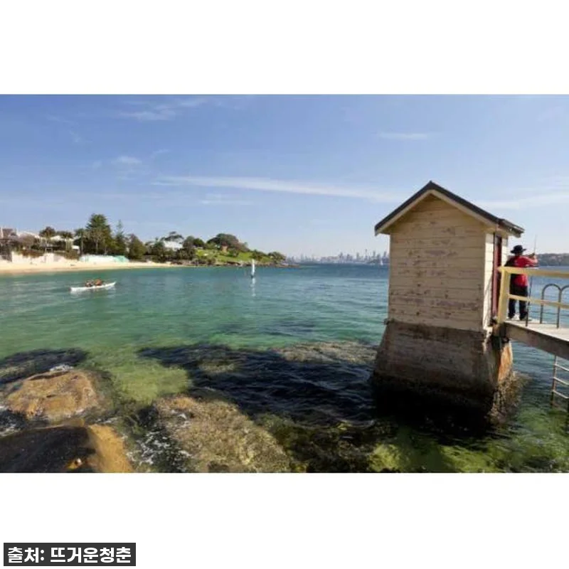 이슈템! 💖 시드니 스타일 가이드 프라이빗 투어, 이거 안 하면 후회할 걸요? (찐후기) 9 이슈템! 💖 시드니 스타일 가이드 프 관련 이미지 3