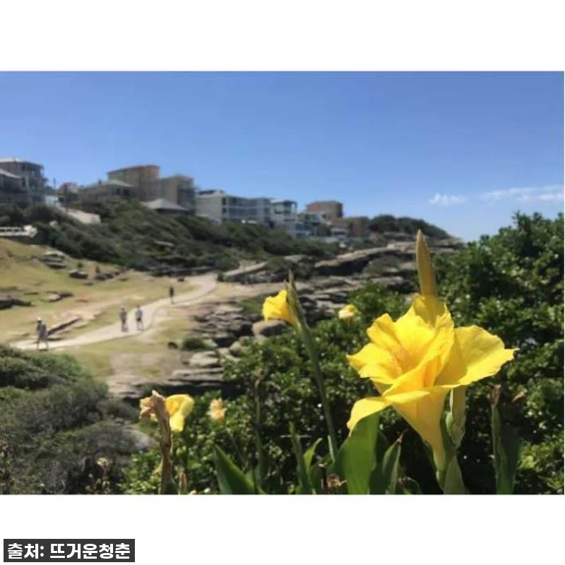 오마이갓! 시드니 여행, 이렇게 싸게 준비한다고?! 찐후기 대방출! 9 오마이갓! 시드니 여행, 이렇게 싸게 관련 이미지 3