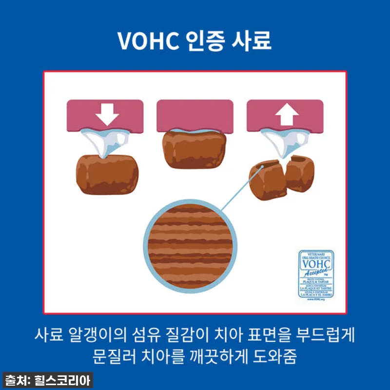 **찐후기! 우리 초롱이 입냄새 싹 사라진 비법? 힐스 강아지사료 어덜트 오랄케어 1.8kg x 2개 필수 구매각!** 13 **찐후기! 우리 초롱이 입냄새 싹 관련 이미지 5