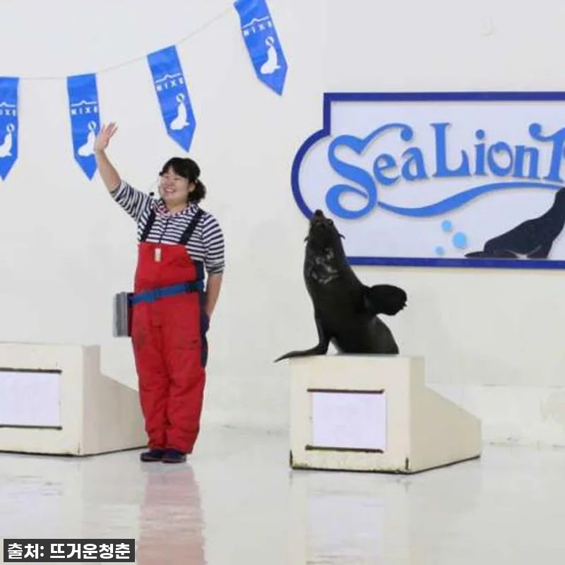 찐후기! 품절임박! 일본 홋카이도 노 관련 이미지 6