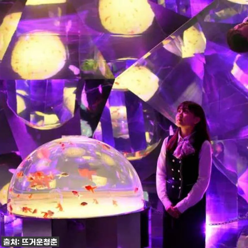 찐후기! 품절임박! 일본 홋카이도 노 관련 이미지 7